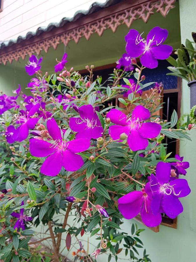 فندق 4 Seasons Mini House ناخون سي ثامارات المظهر الخارجي الصورة
