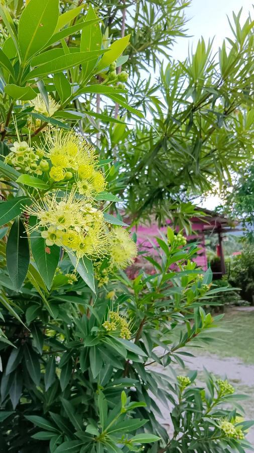 فندق 4 Seasons Mini House ناخون سي ثامارات المظهر الخارجي الصورة