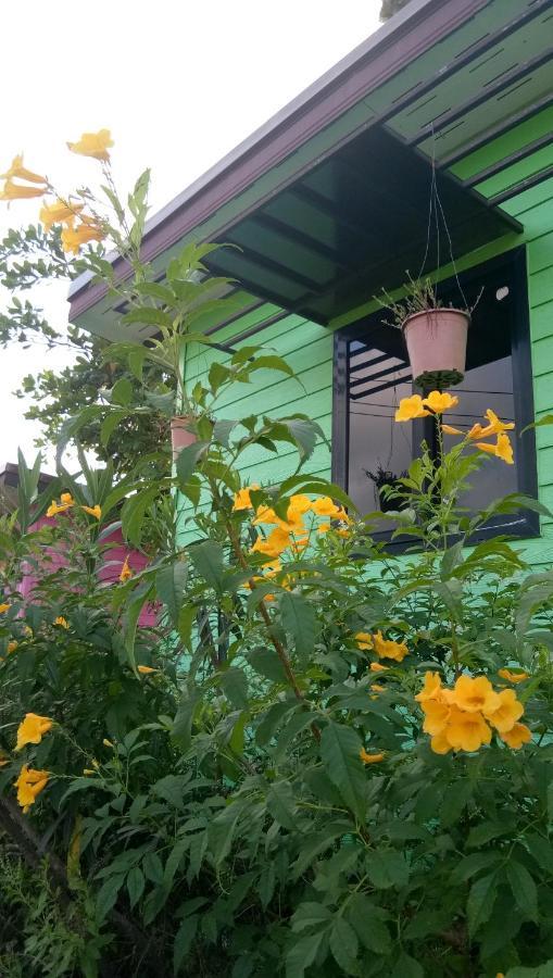فندق 4 Seasons Mini House ناخون سي ثامارات المظهر الخارجي الصورة